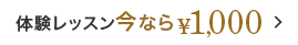 体験レッスン今なら¥1,000